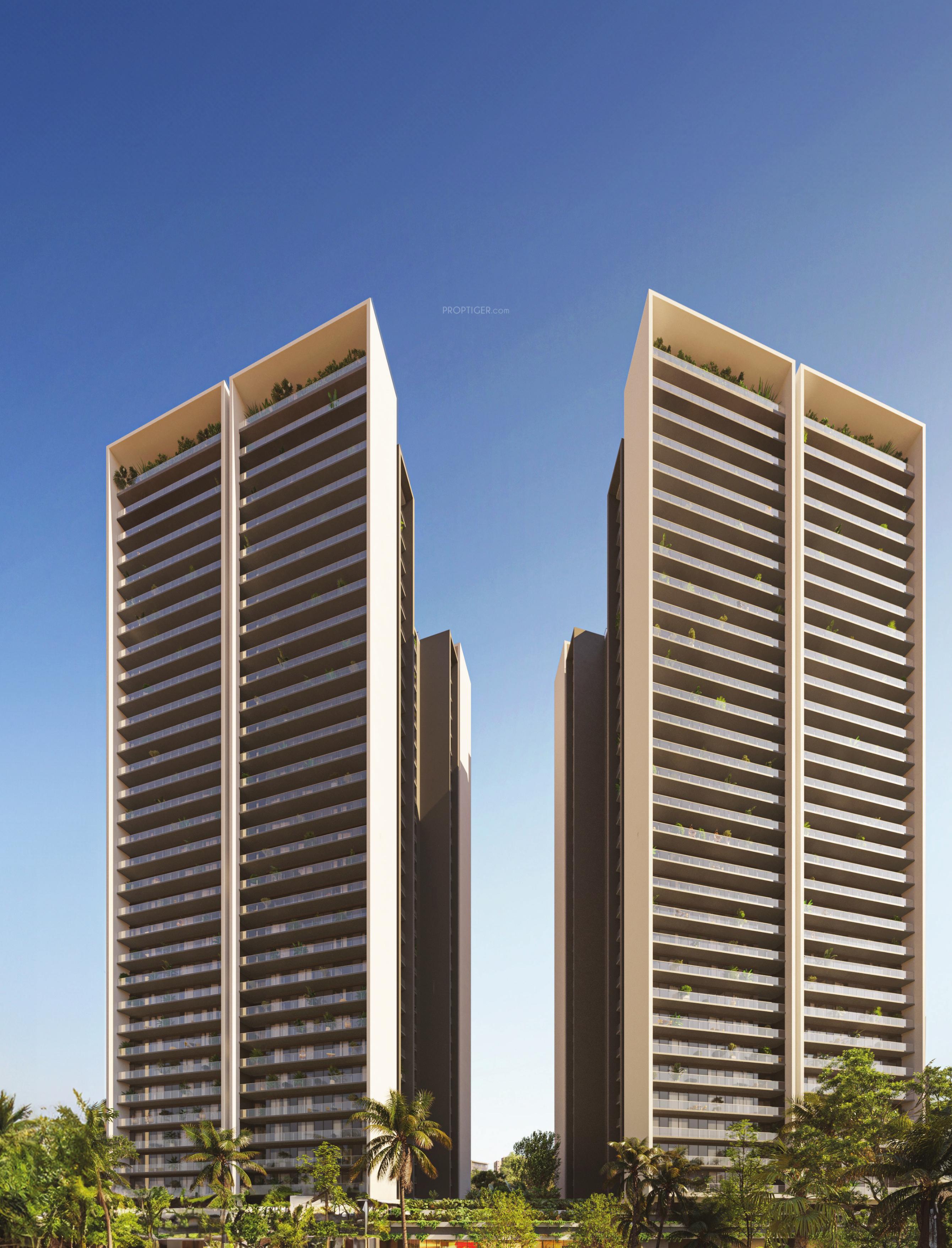  the-amaario Elevation