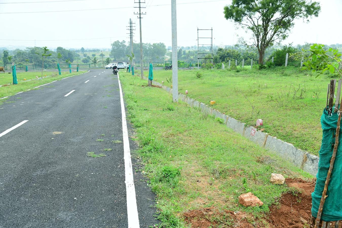  krishna Plot