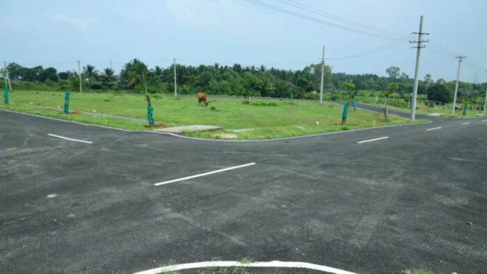  krishna Plot