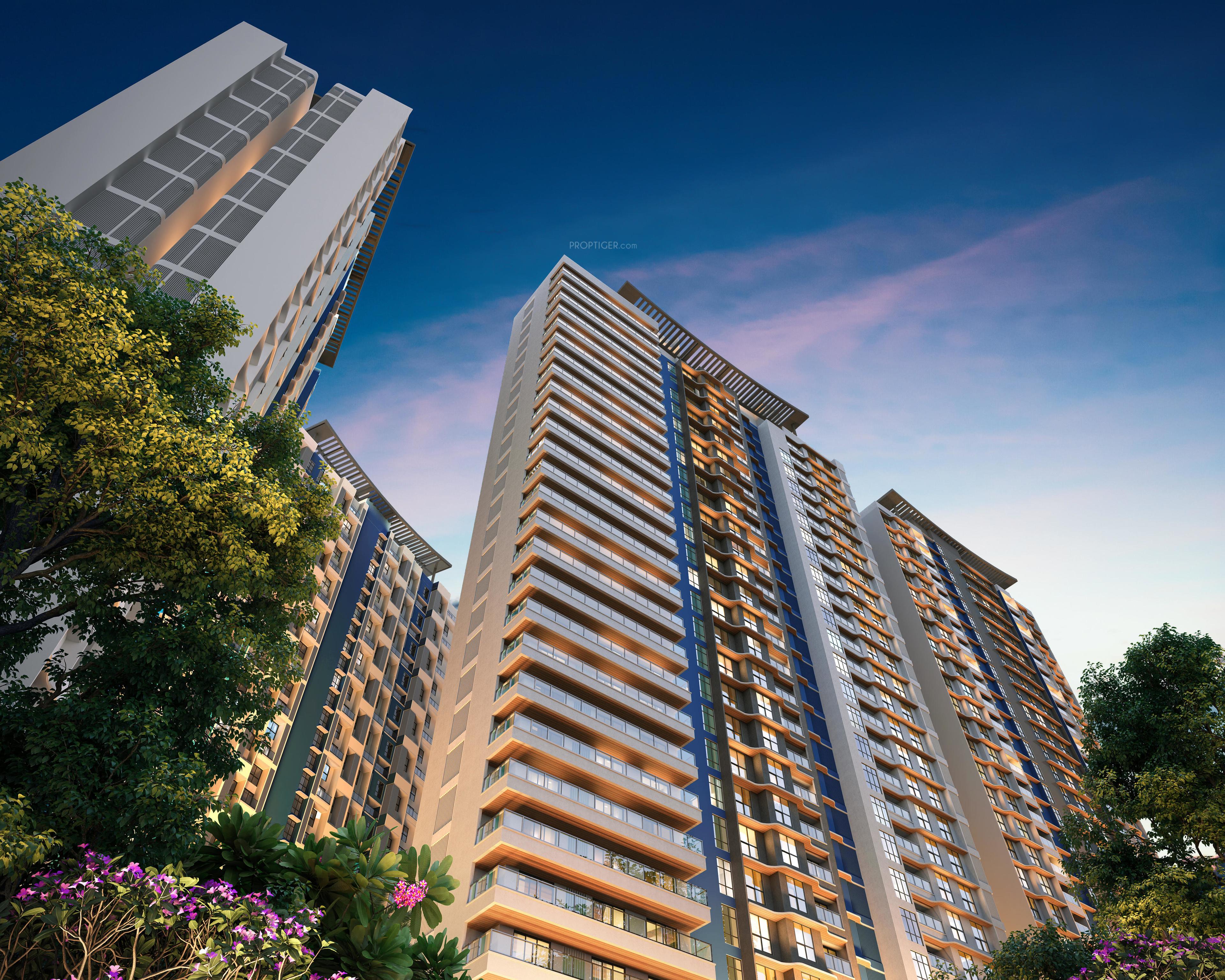  island-of-joy-project-c Elevation