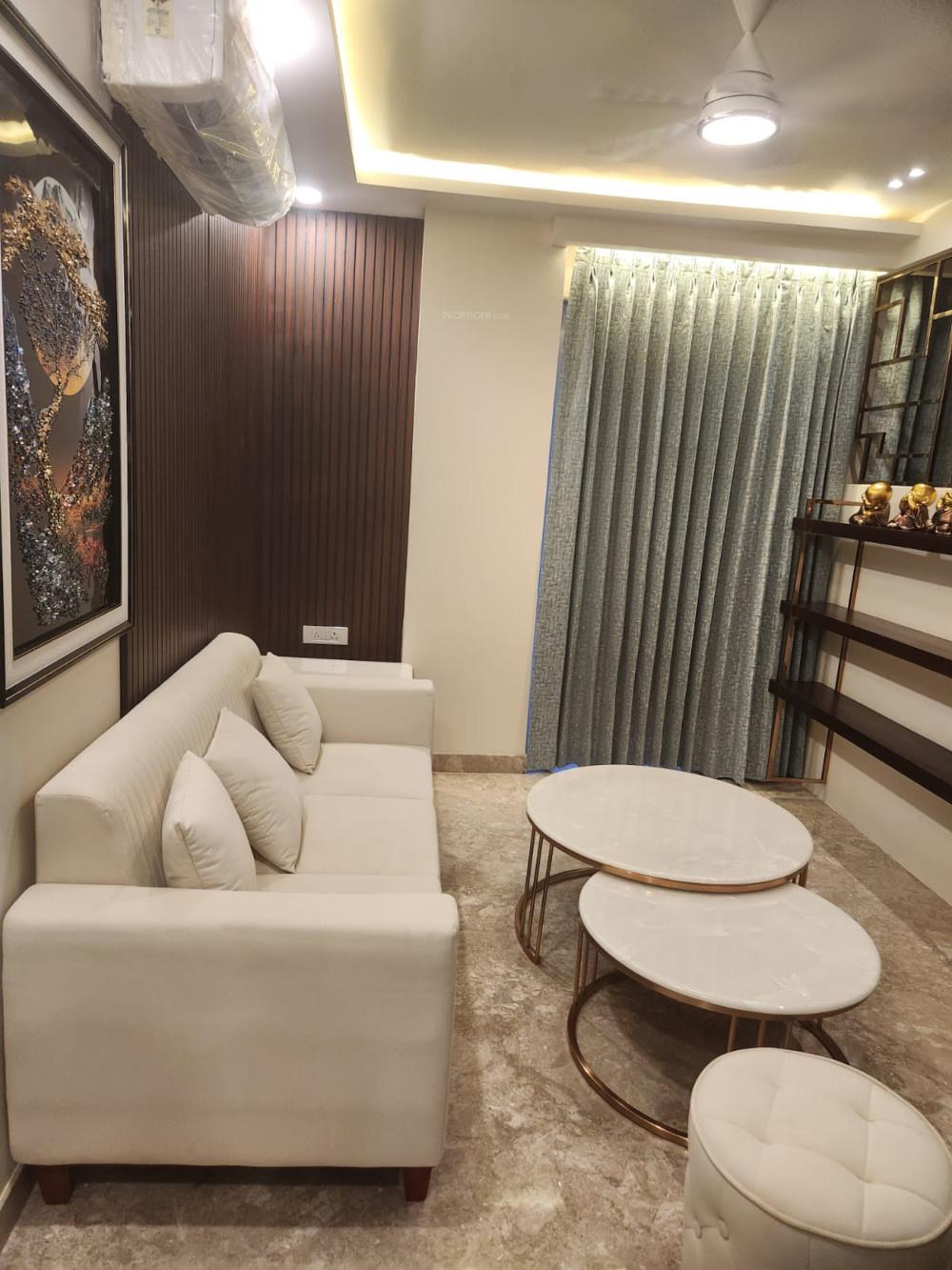  luxurious-homes Living Area