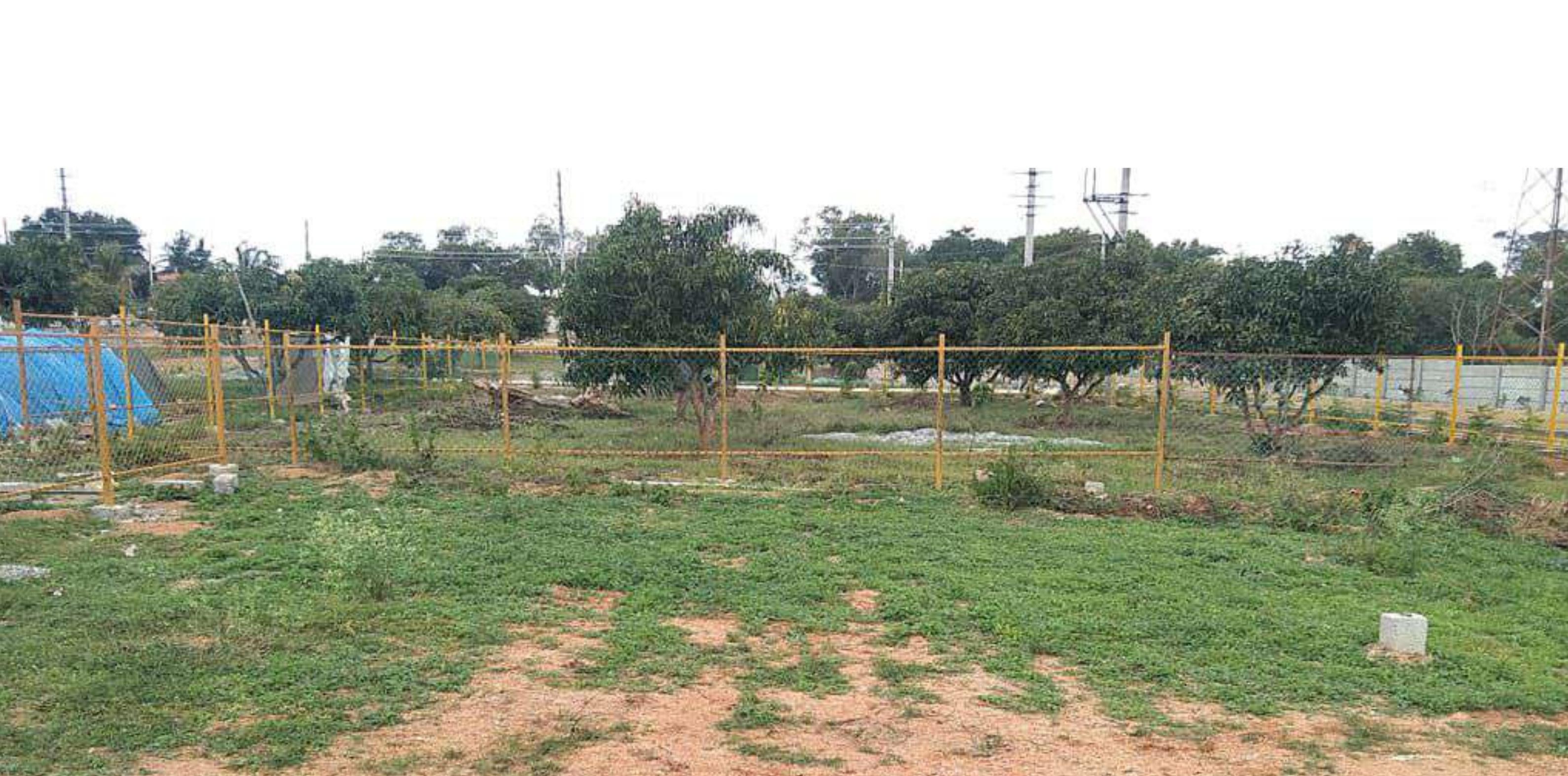  properties-bethel Elevation