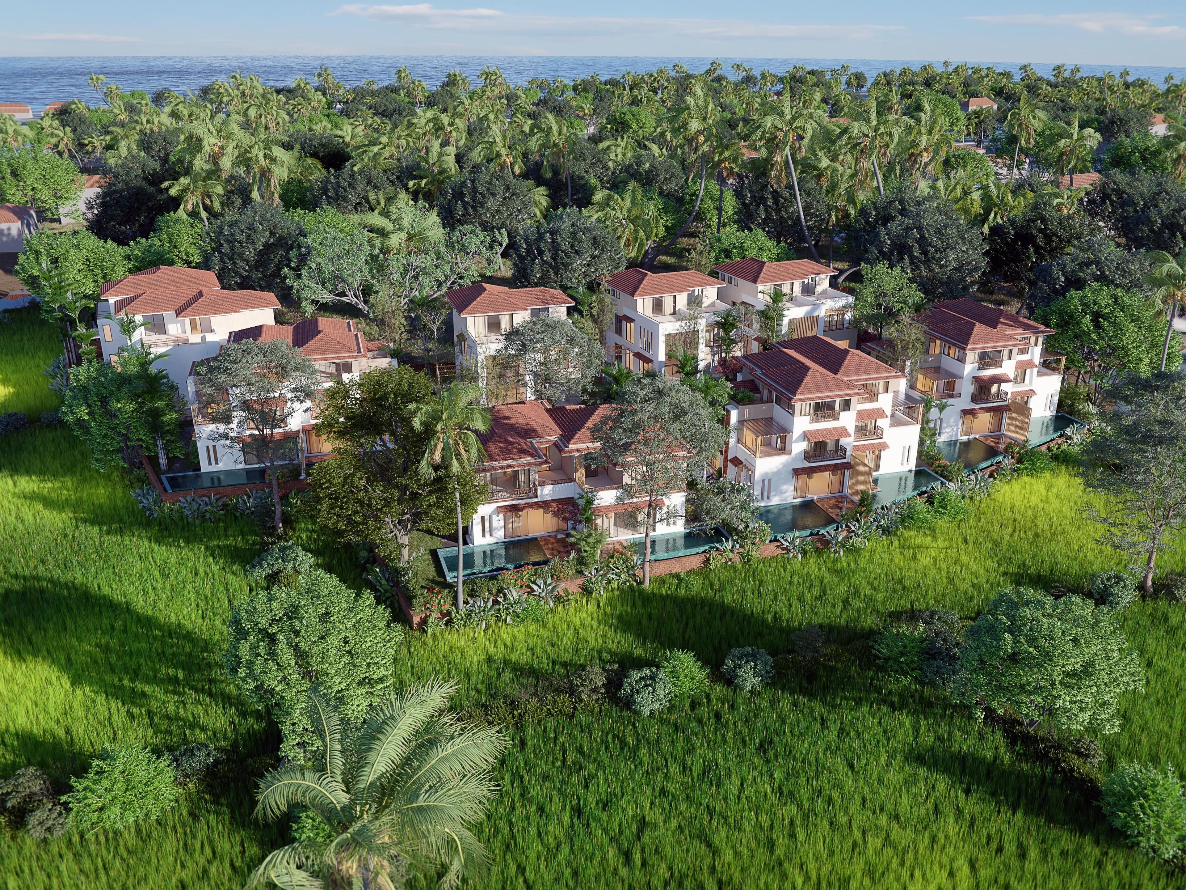 Paddy Villa