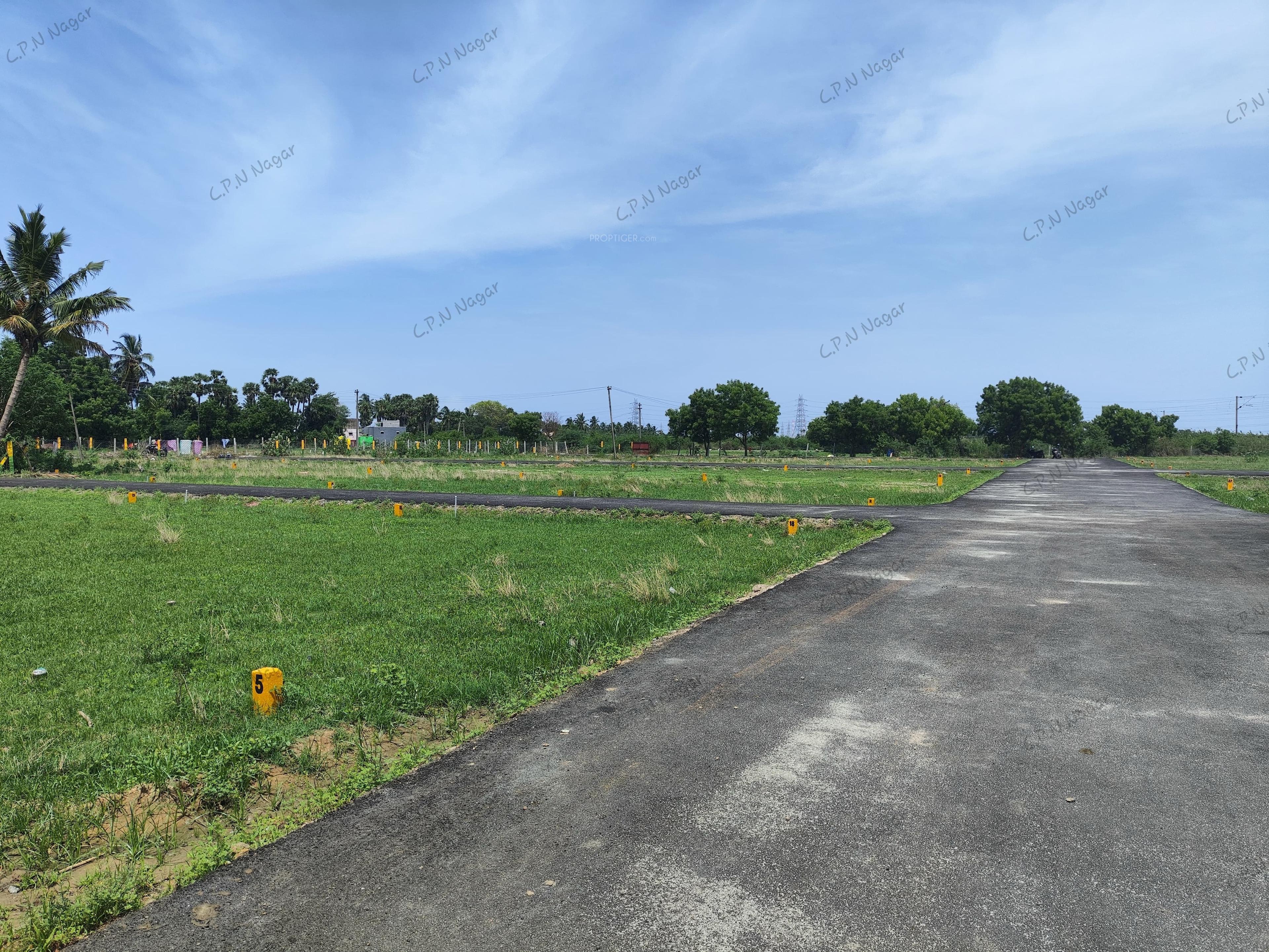  c-p-n-nagar Plot