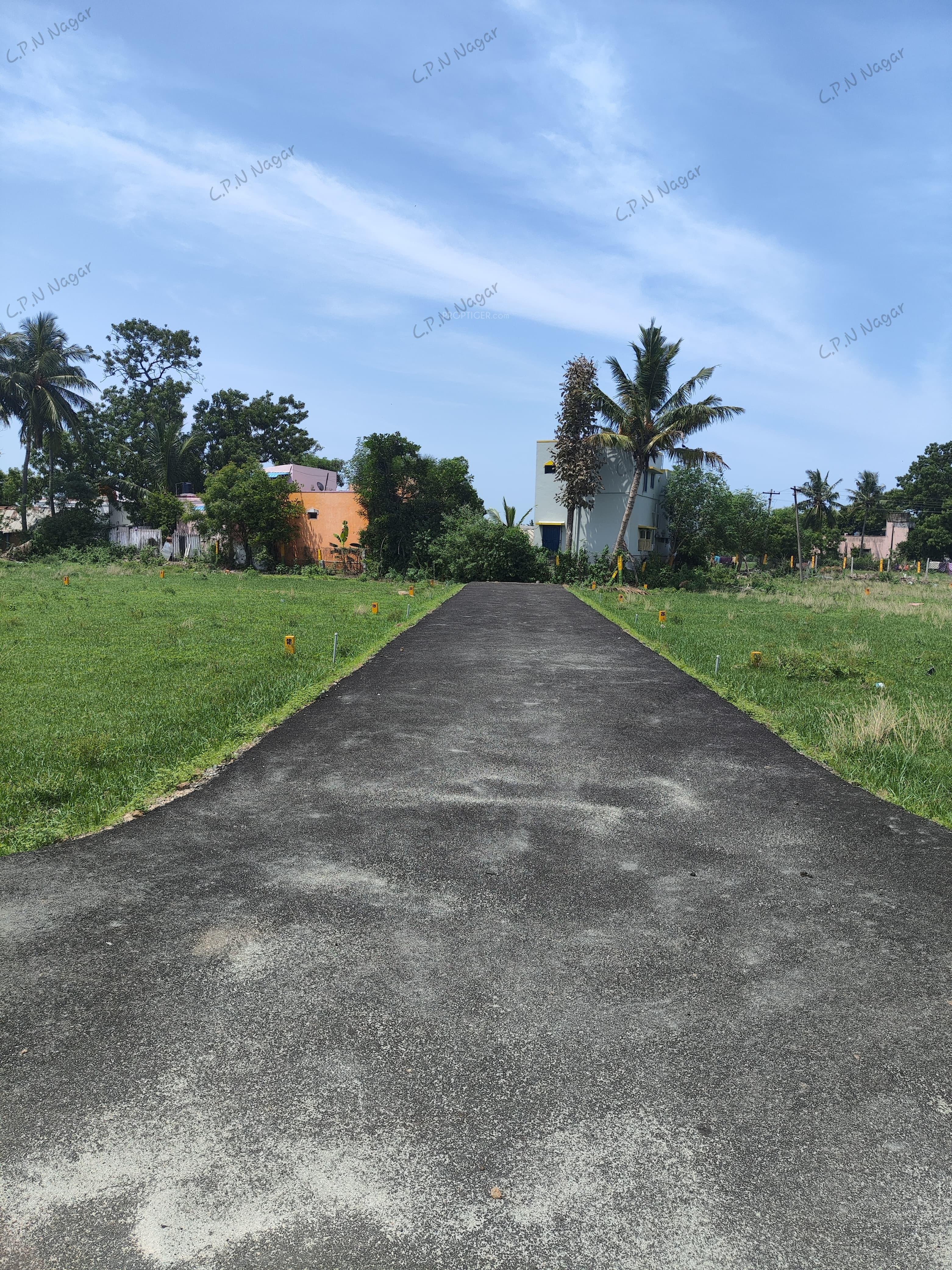  c-p-n-nagar Plot