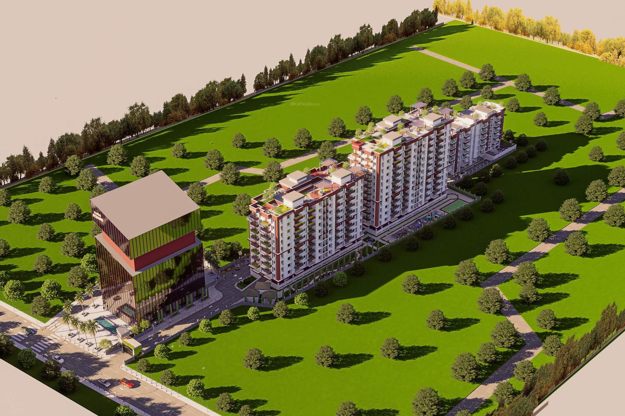  exotica Elevation