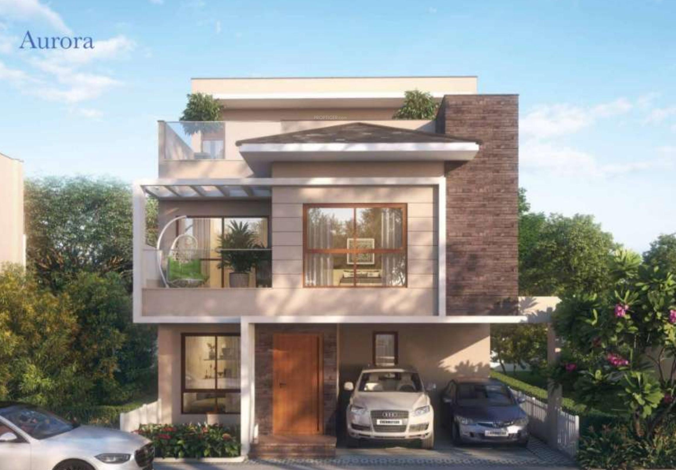  under-the-open-sky Elevation
