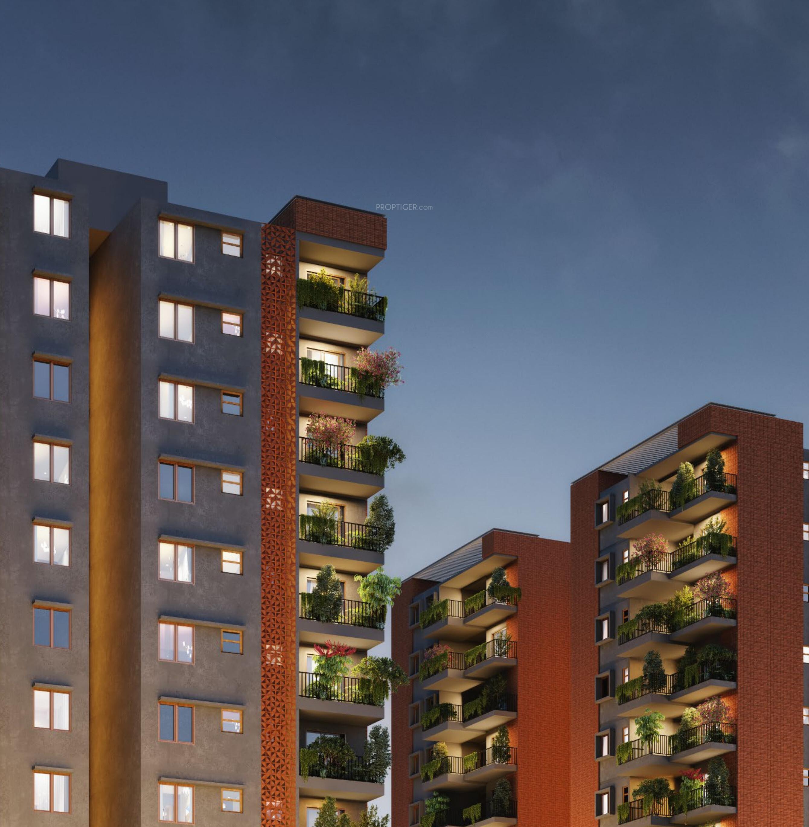  adorit Elevation