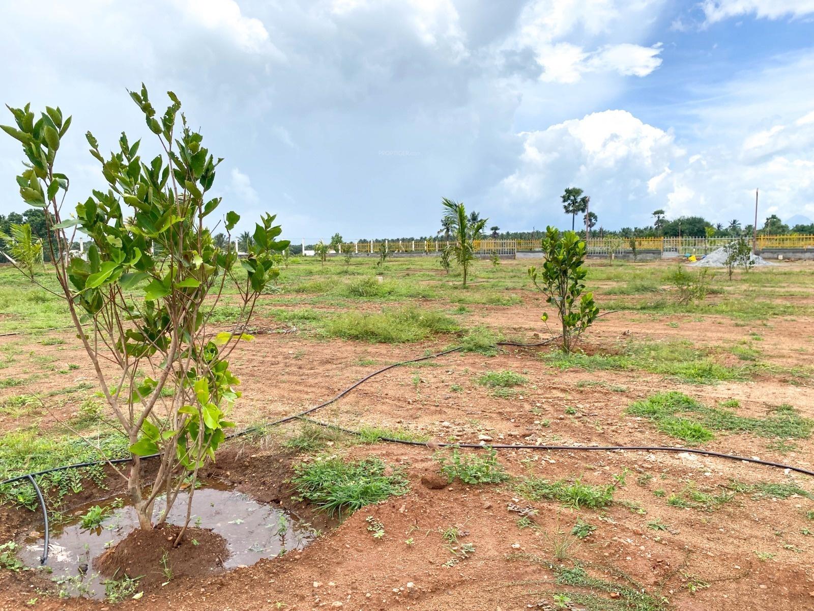 Pazhamudhir Thottam