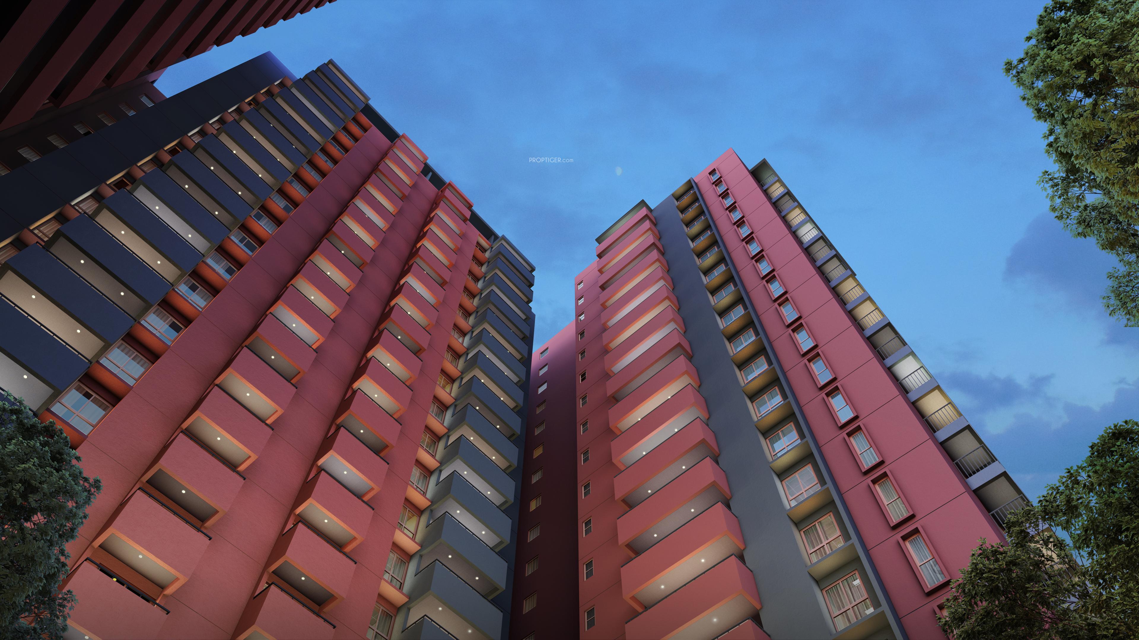  sora-and-saki Elevation