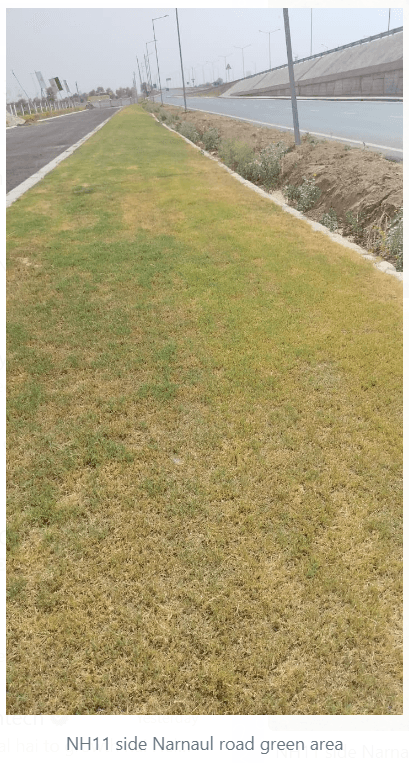 Internal Roads & Footpaths