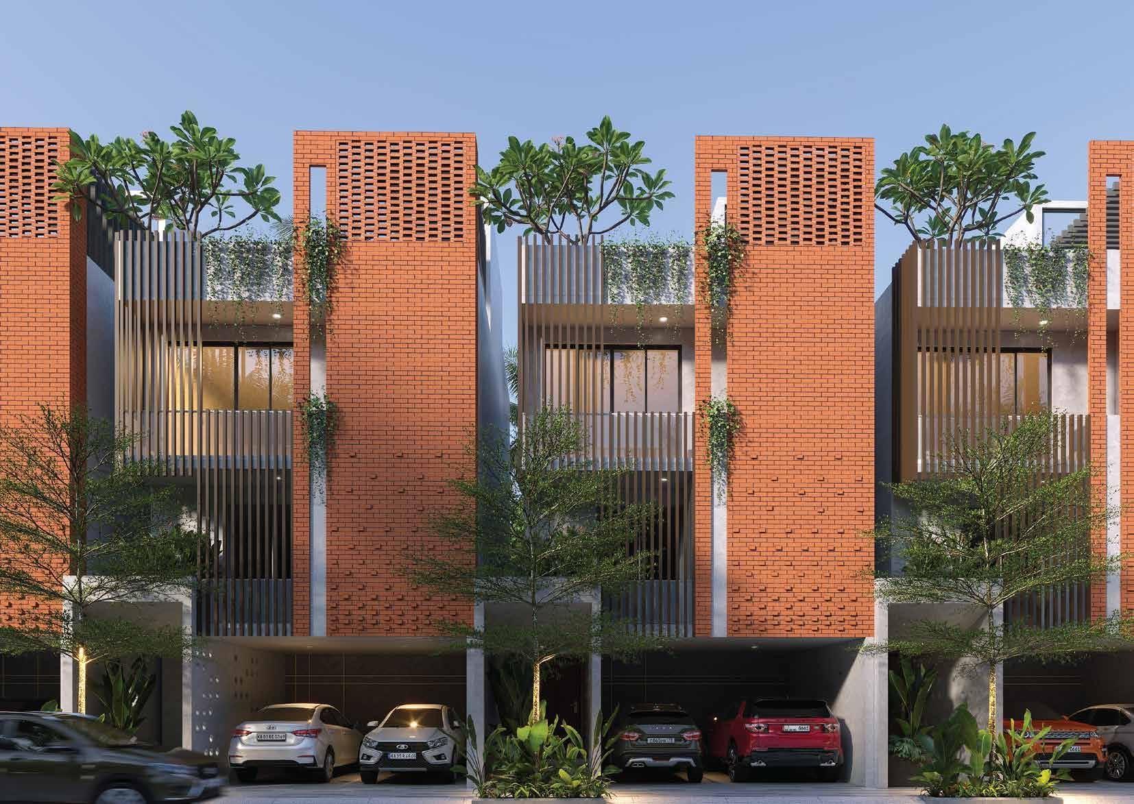  tropicalwoods Elevation