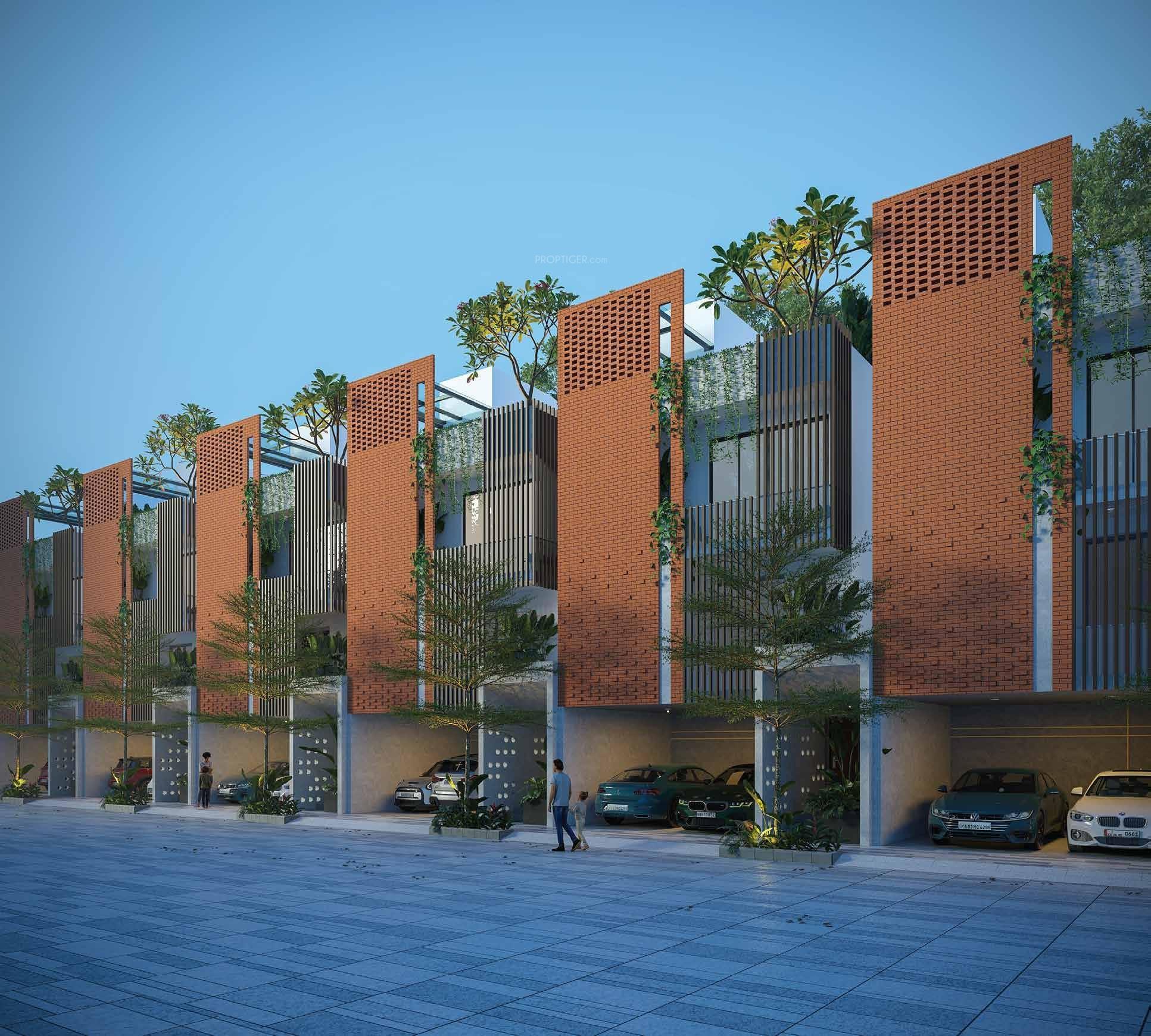  tropicalwoods Elevation