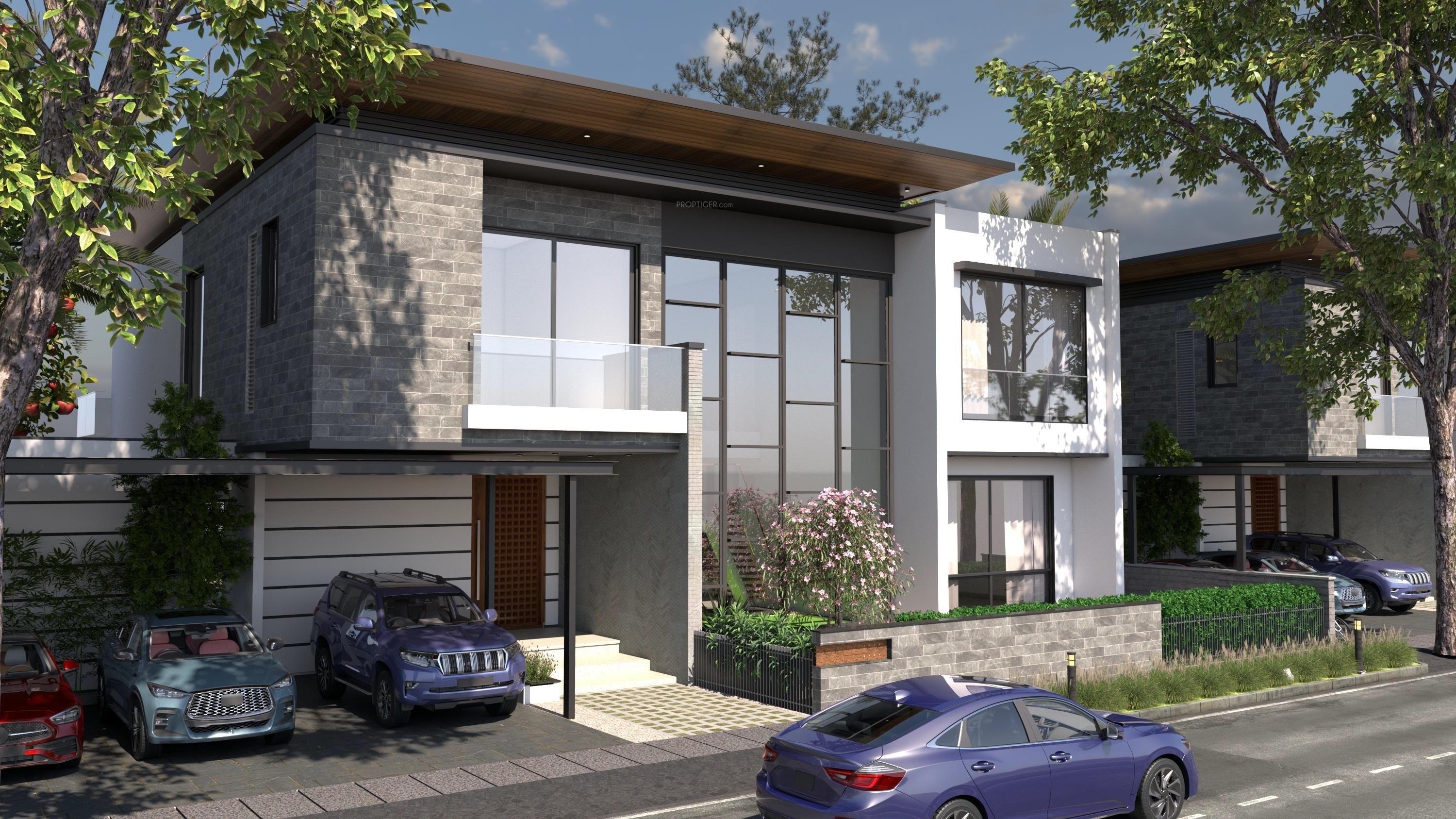  treasure-trove Elevation