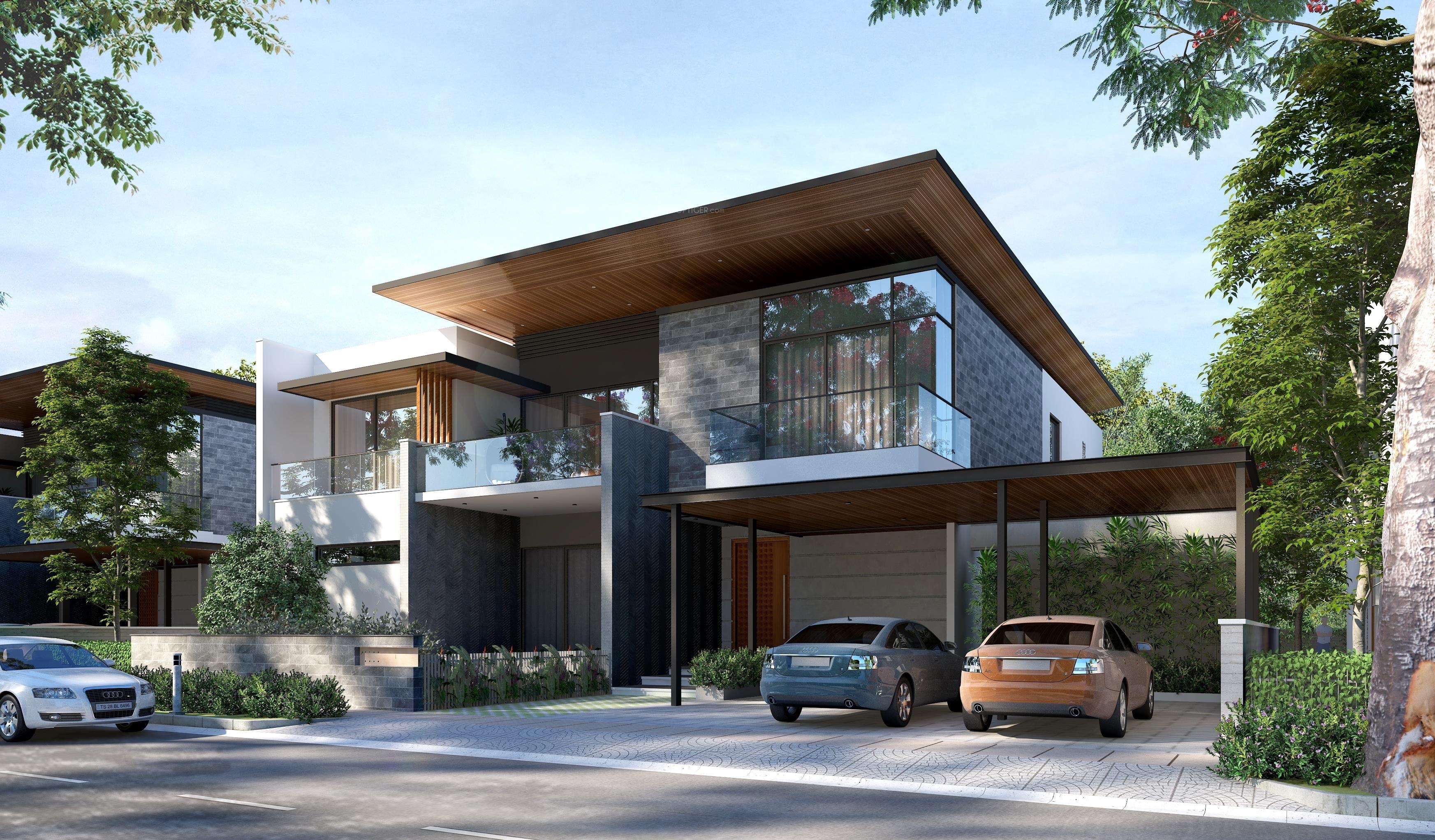  treasure-trove Elevation