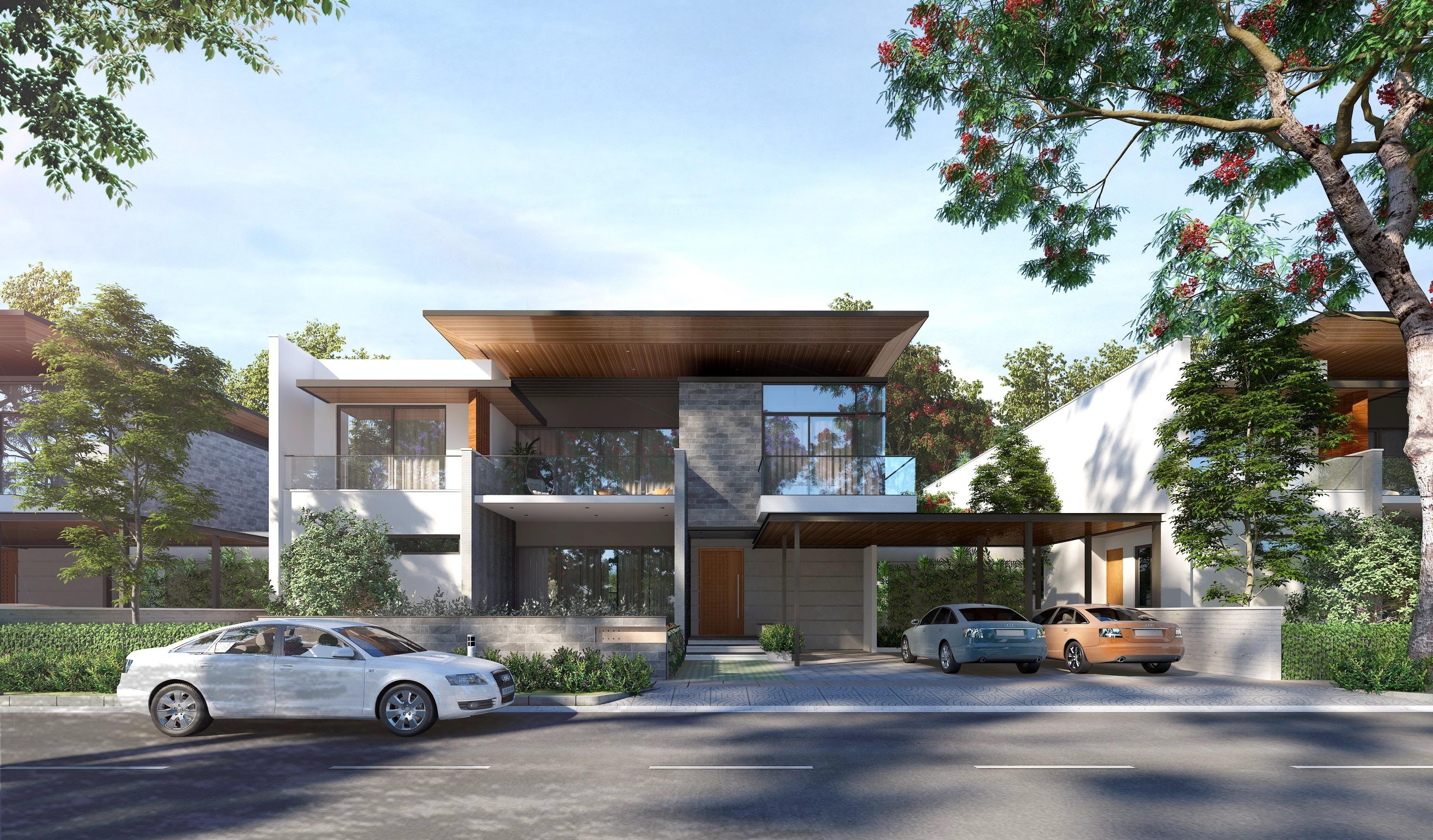  treasure-trove Elevation