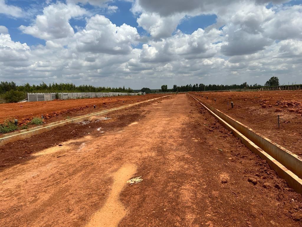  silver-kites-elite Elevation