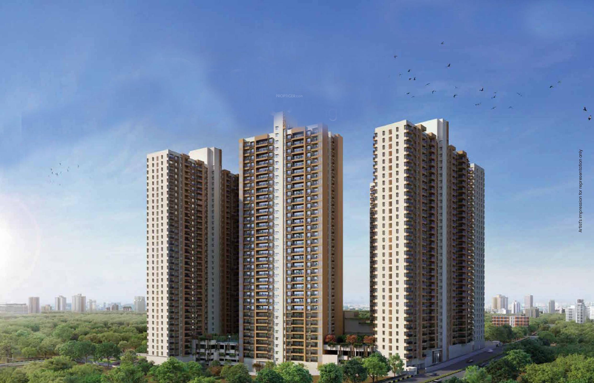 Ivylush Tower C And Tower D