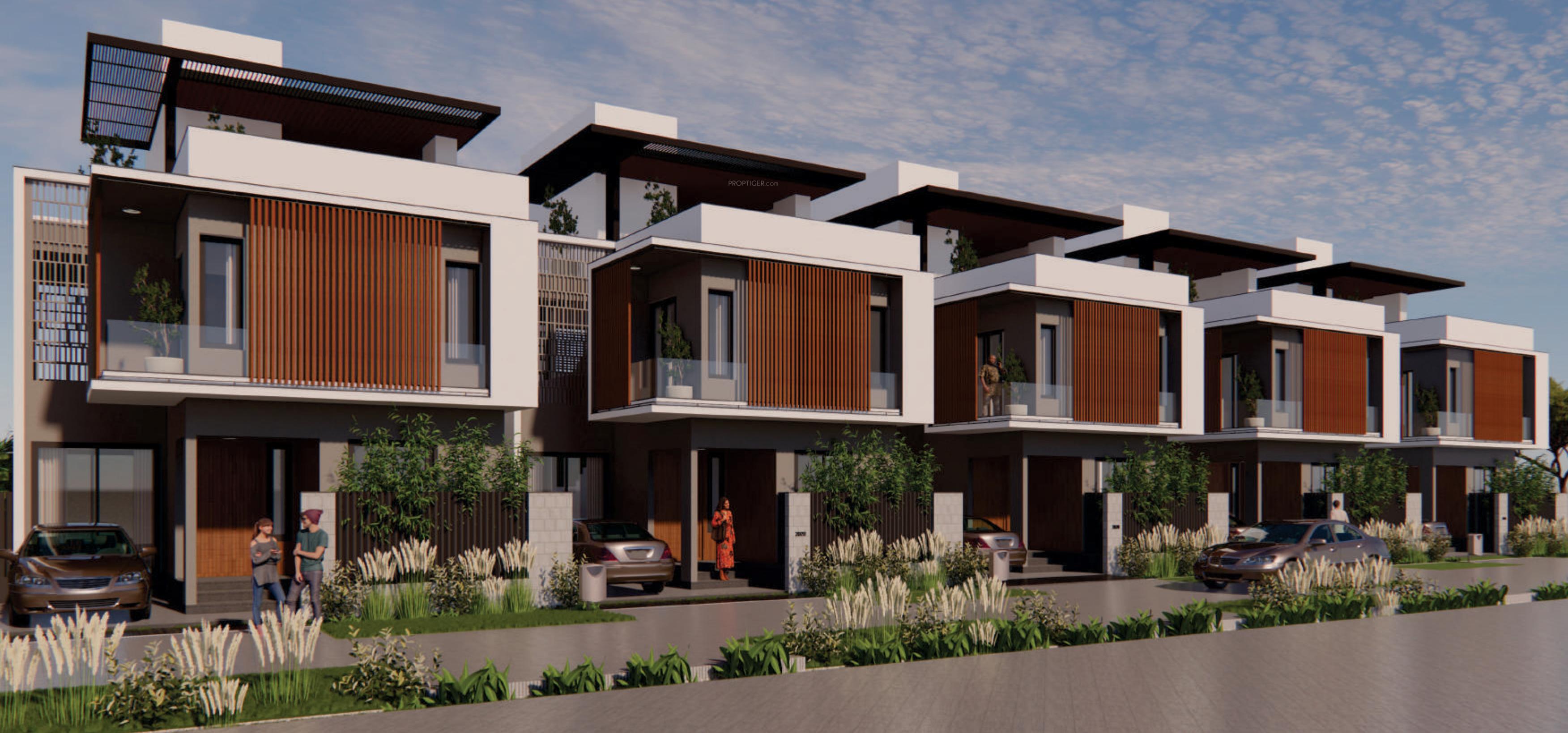  gardenia Elevation