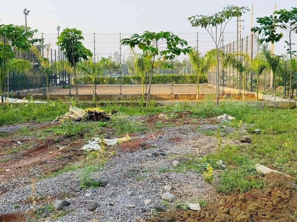 Shiva Farm