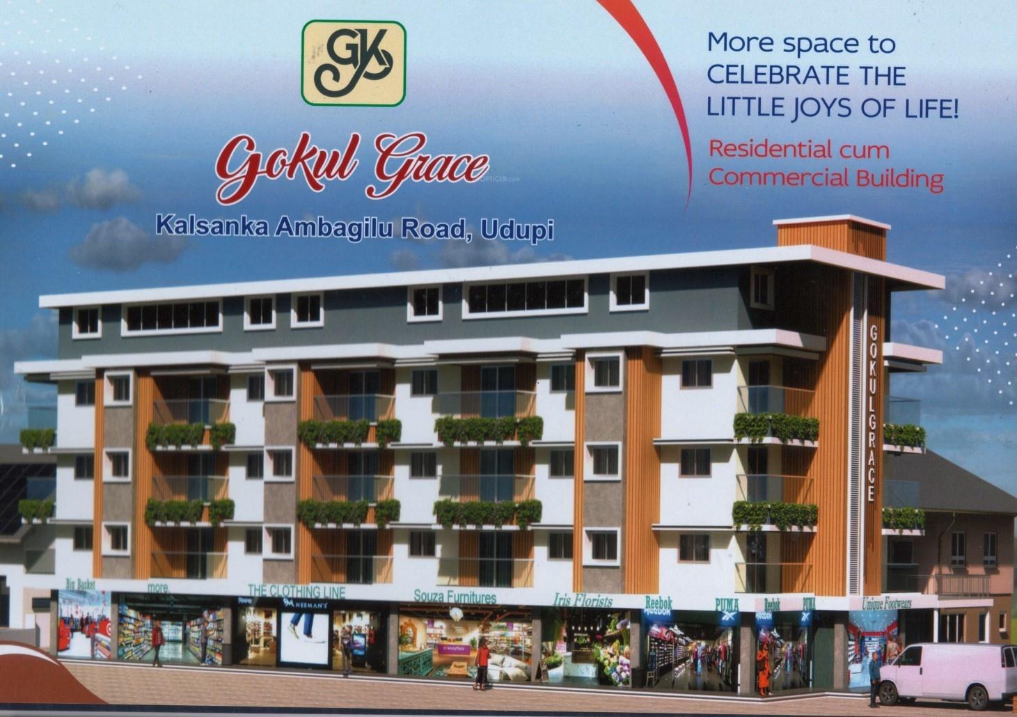  gokul-grace Elevation