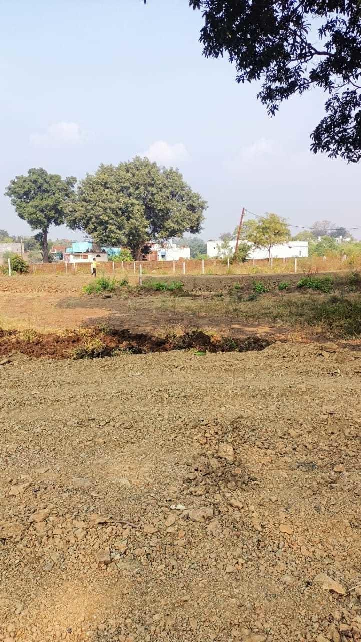  dada-dhaniram-vihar Plot