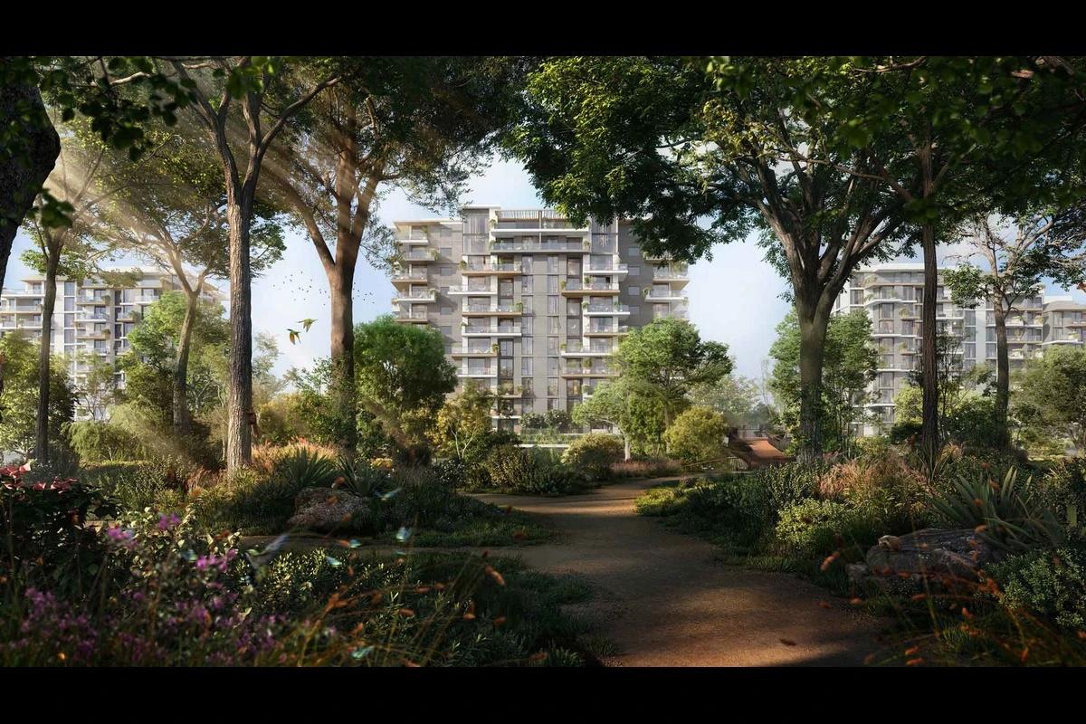  elara-celestia Elevation