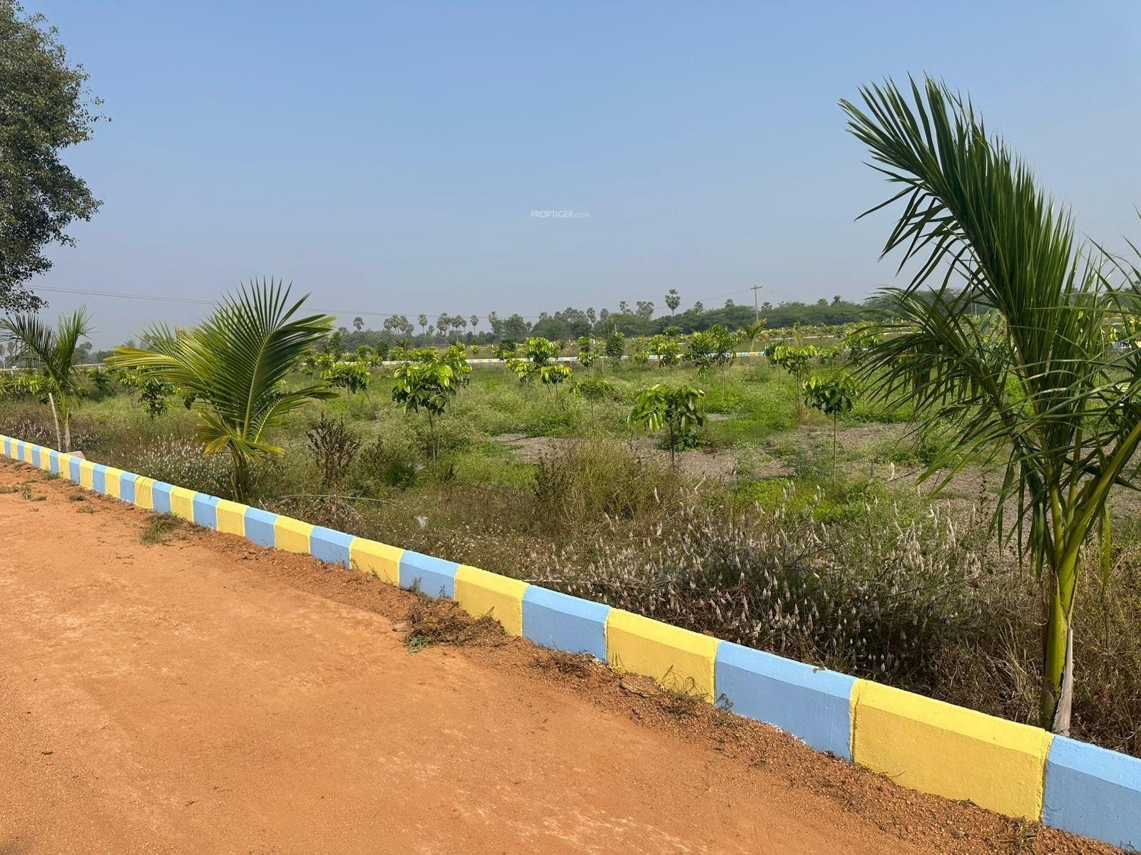 RRR Farms