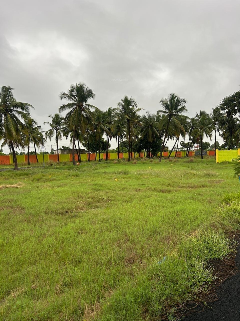 TM Nagar