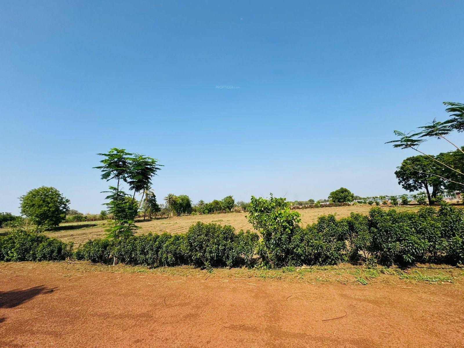 Nidhivan Farm