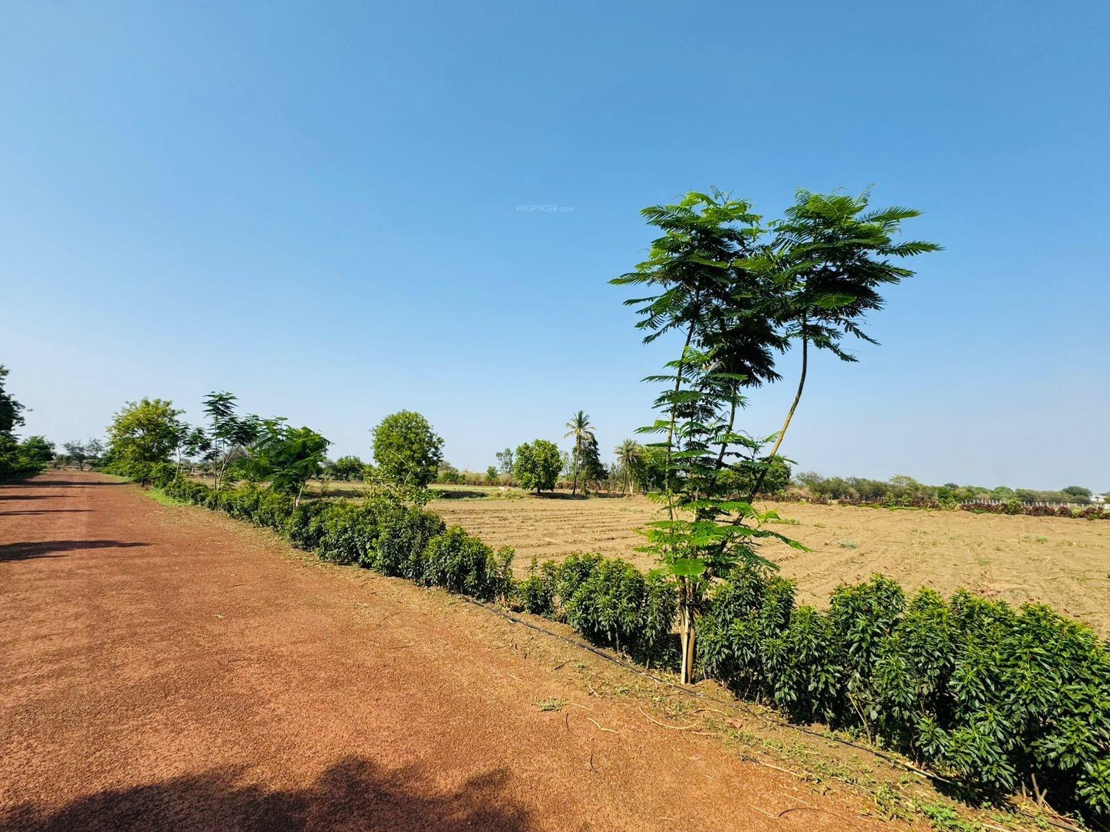  nidhivan-farm Plot