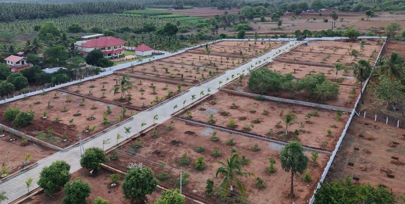 Etti Farms