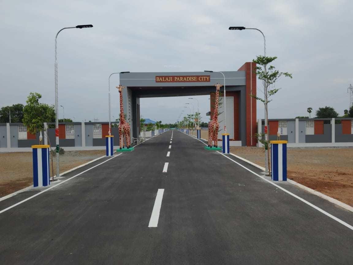  paradise-city Elevation