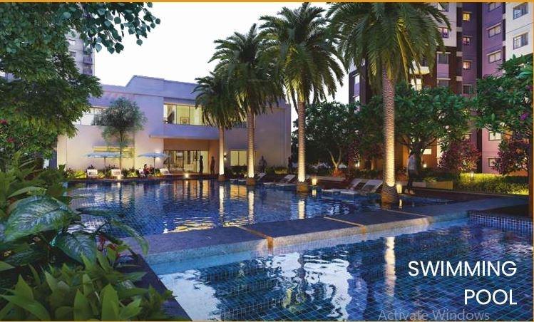  rainbow-heights Swimming Pool