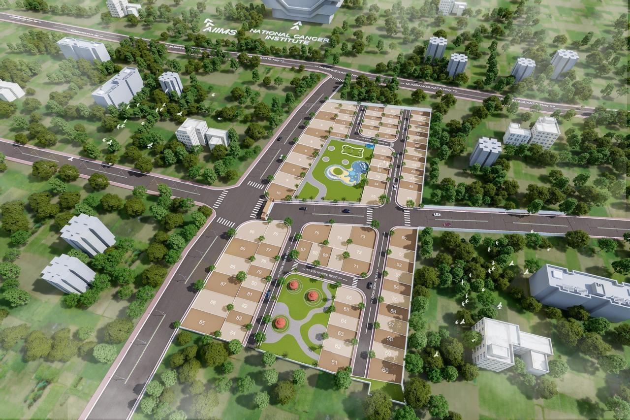 Oasis 35