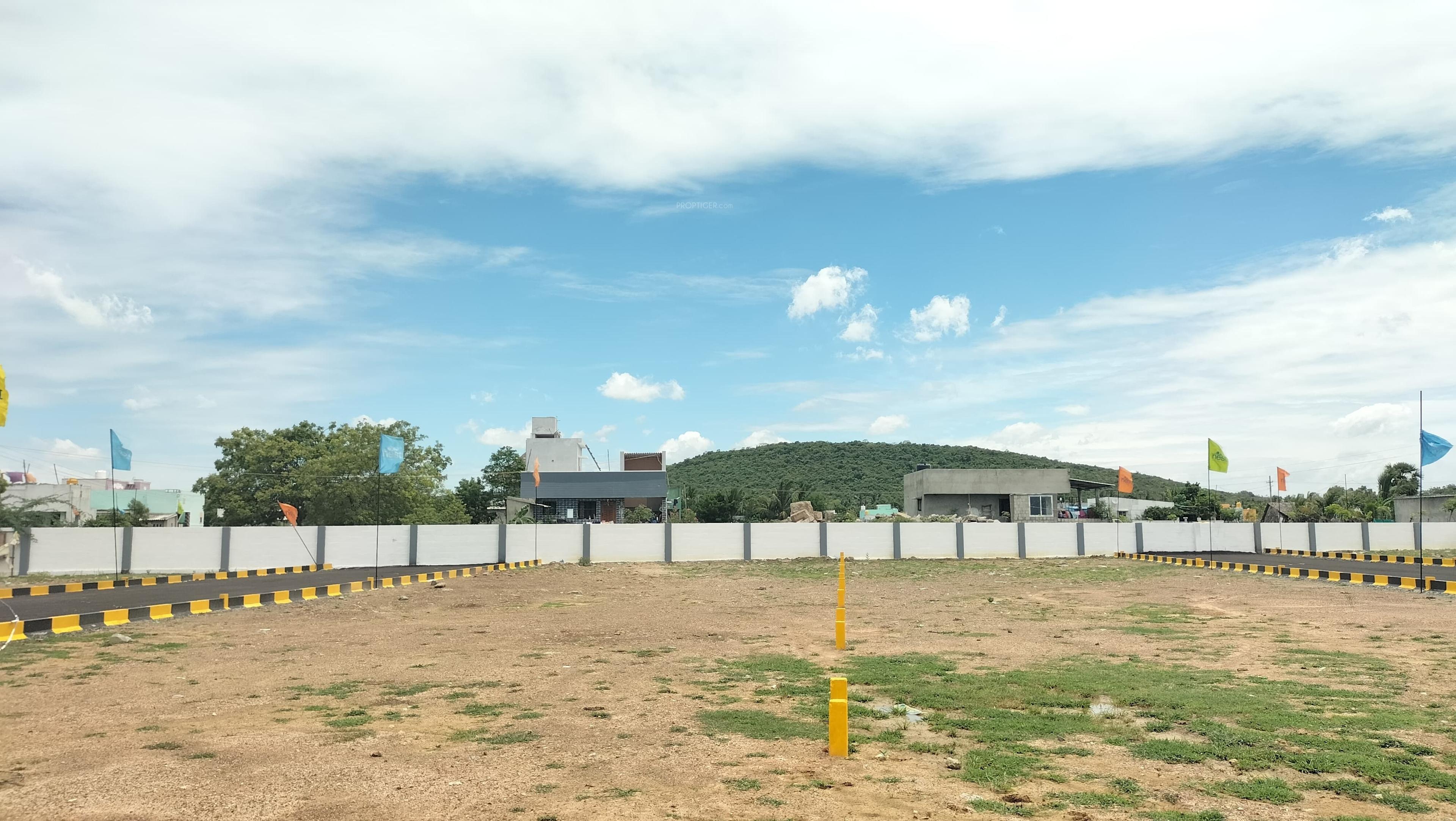 Square Phase 2