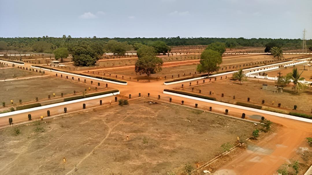  eastern-pride Elevation