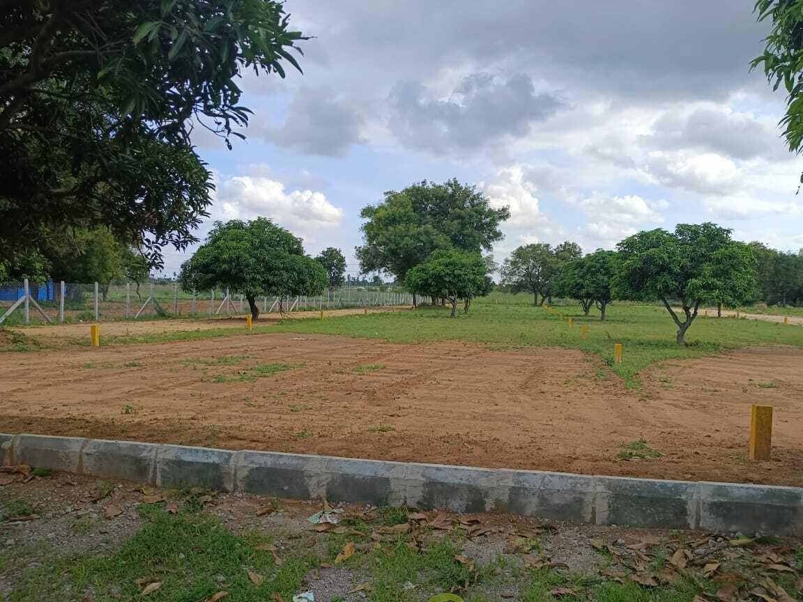 Green Farms