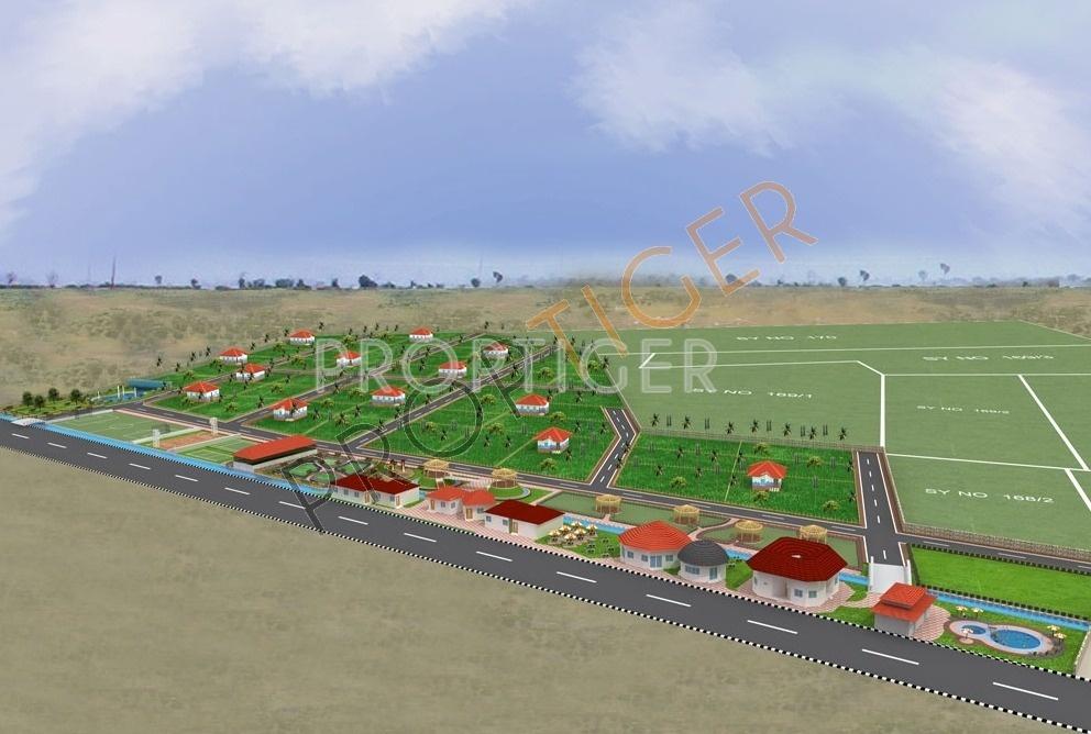 Dream Hills