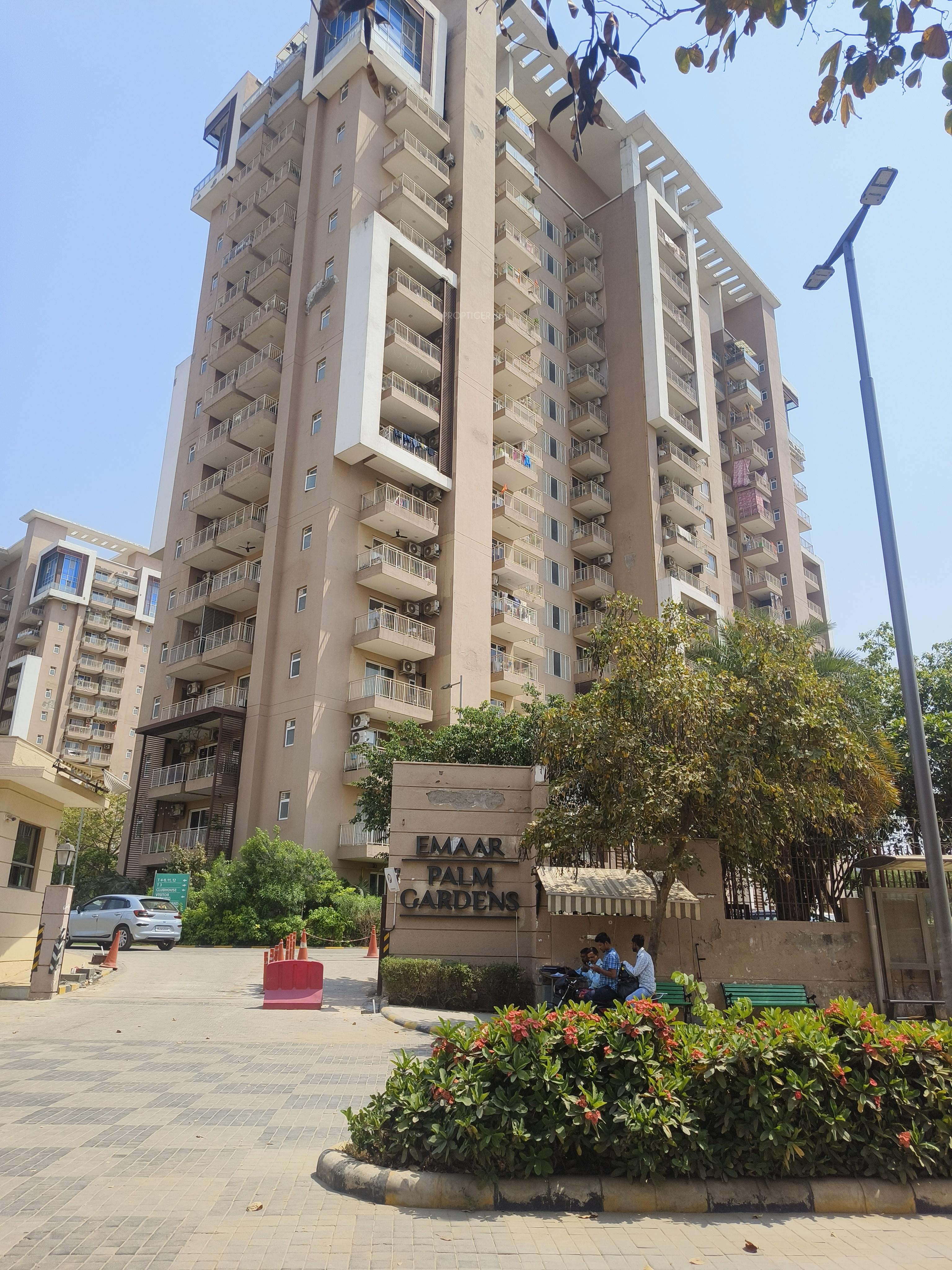  palm-gardens Elevation