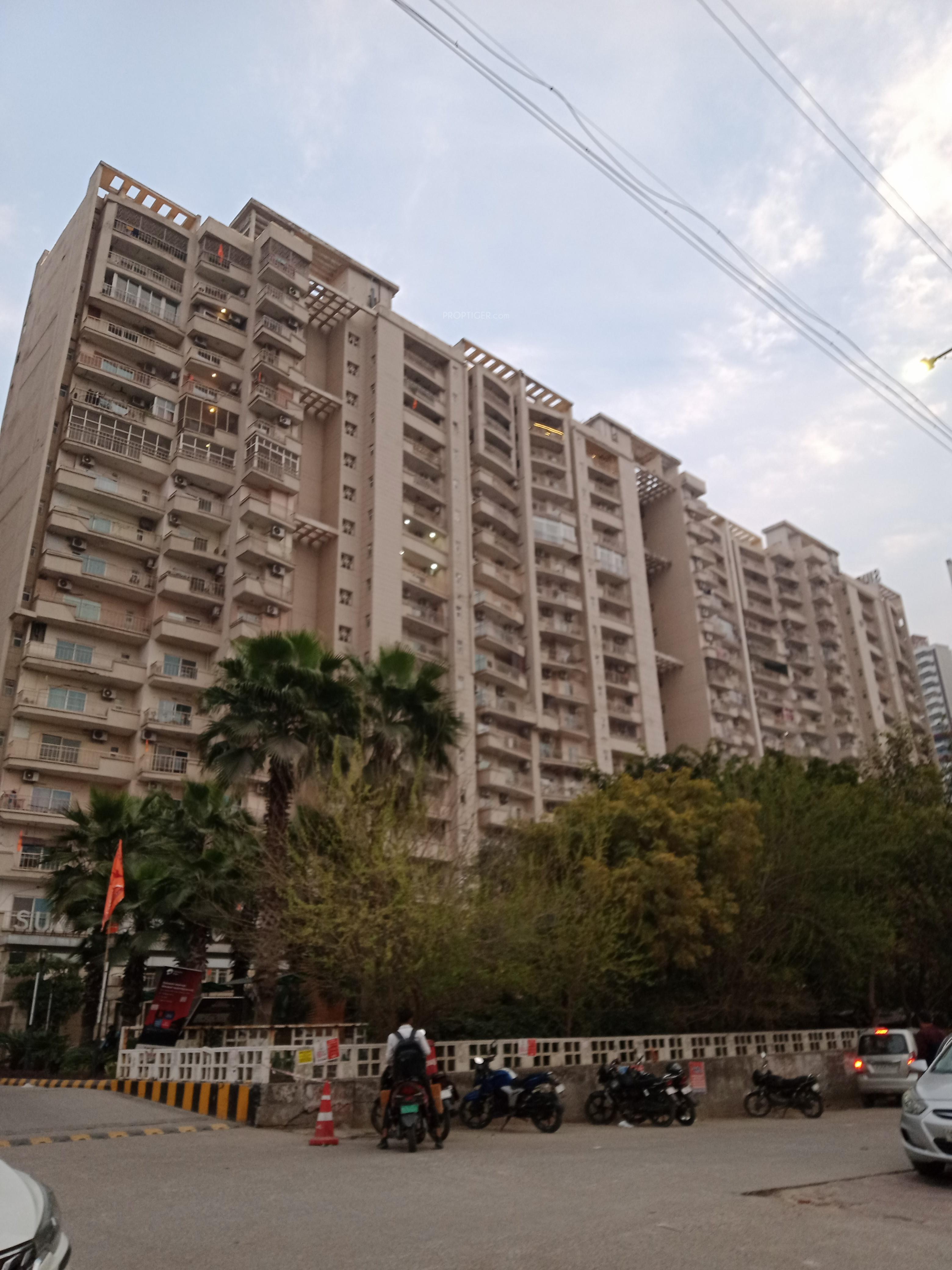  vanalika Elevation