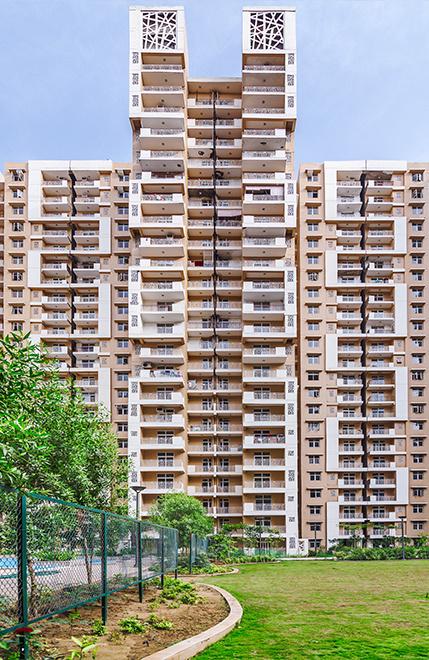  mywoods Elevation