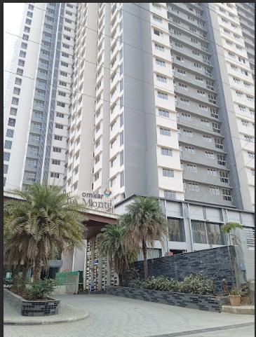  alta-monte Elevation