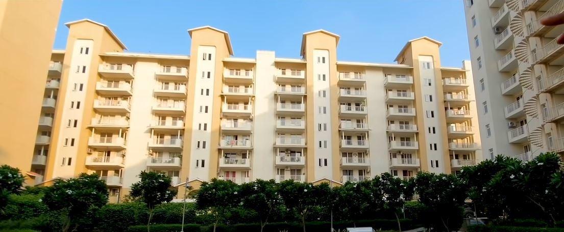  palm-hills Elevation