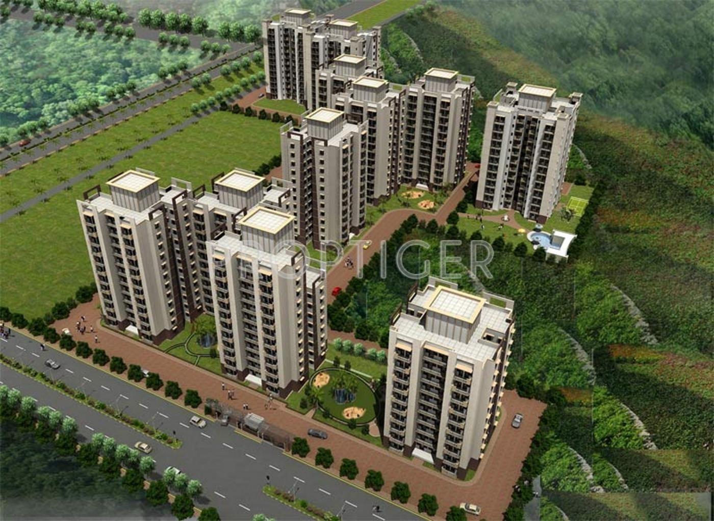  orange Images for Elevation of Tulip Orange