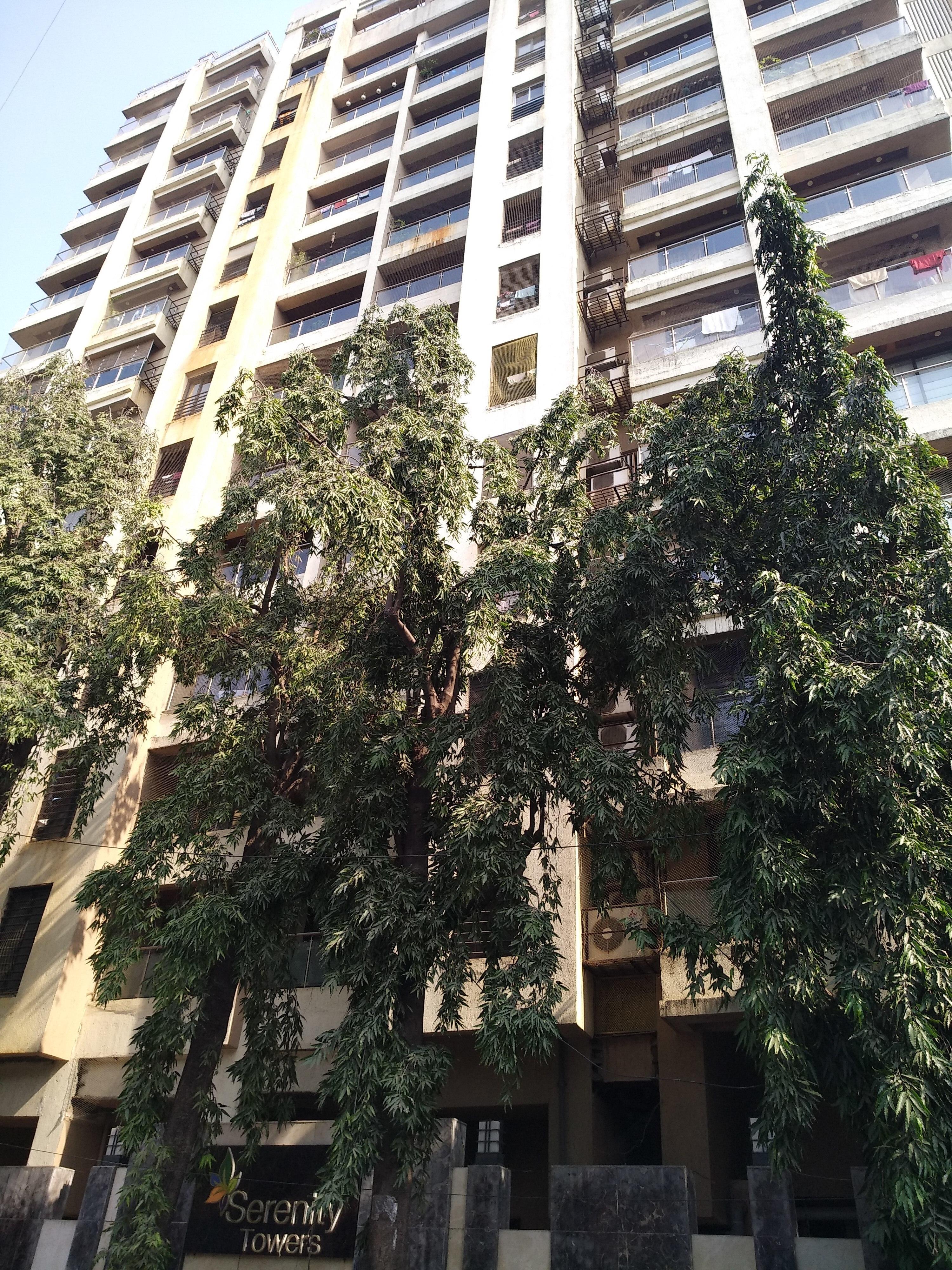  serenity Images for Project