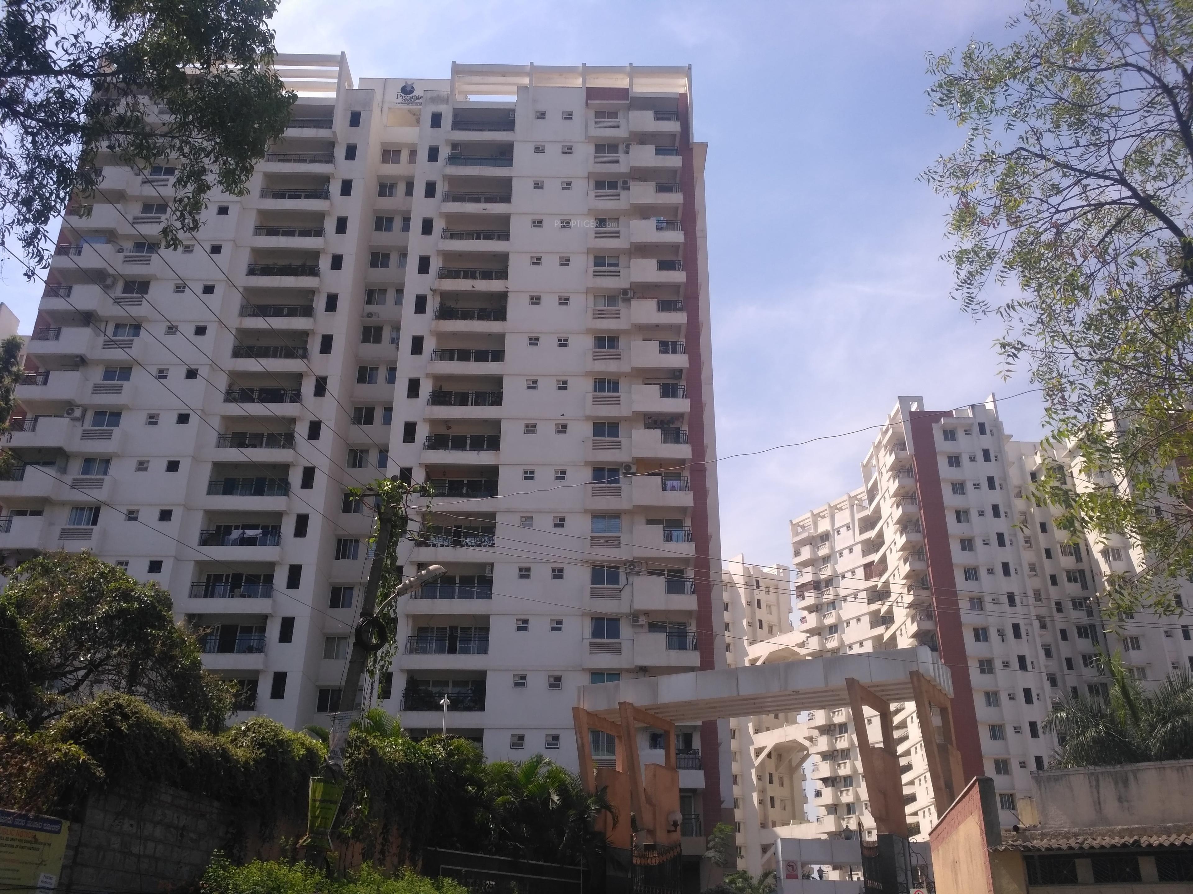  south-ridge Elevation