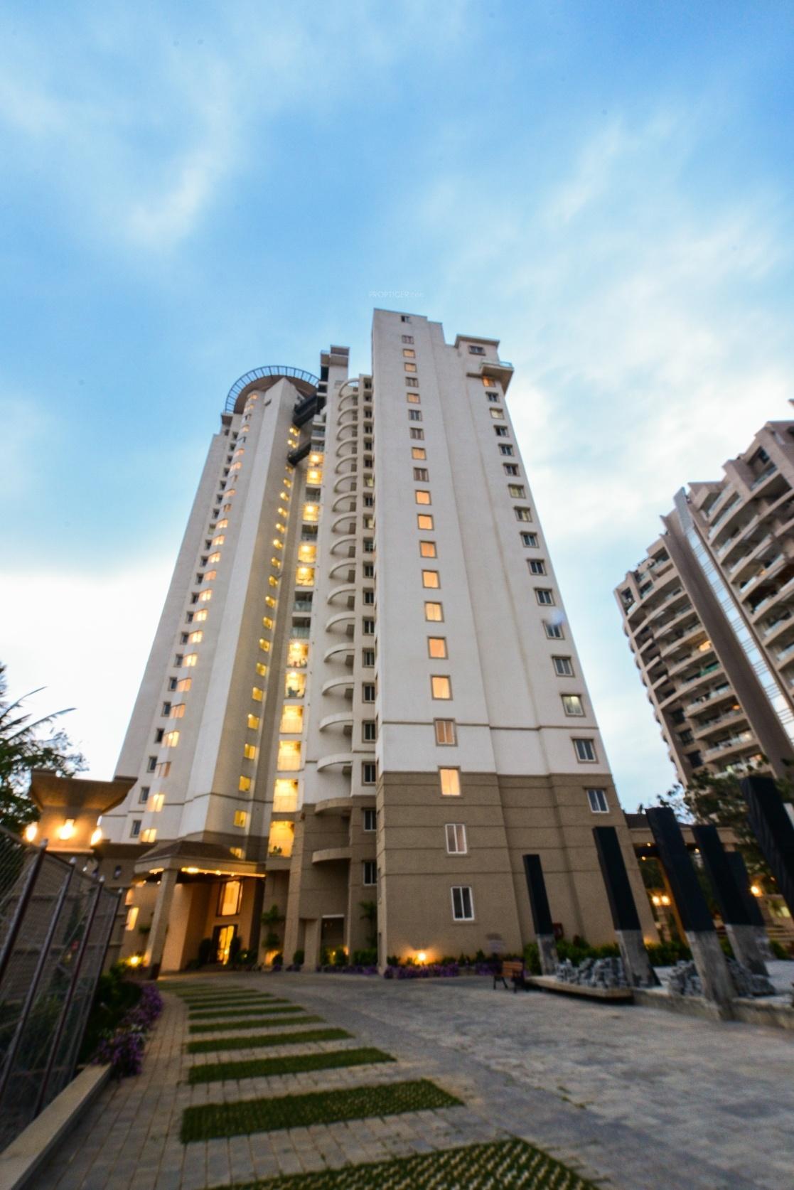  tropical-tree Elevation