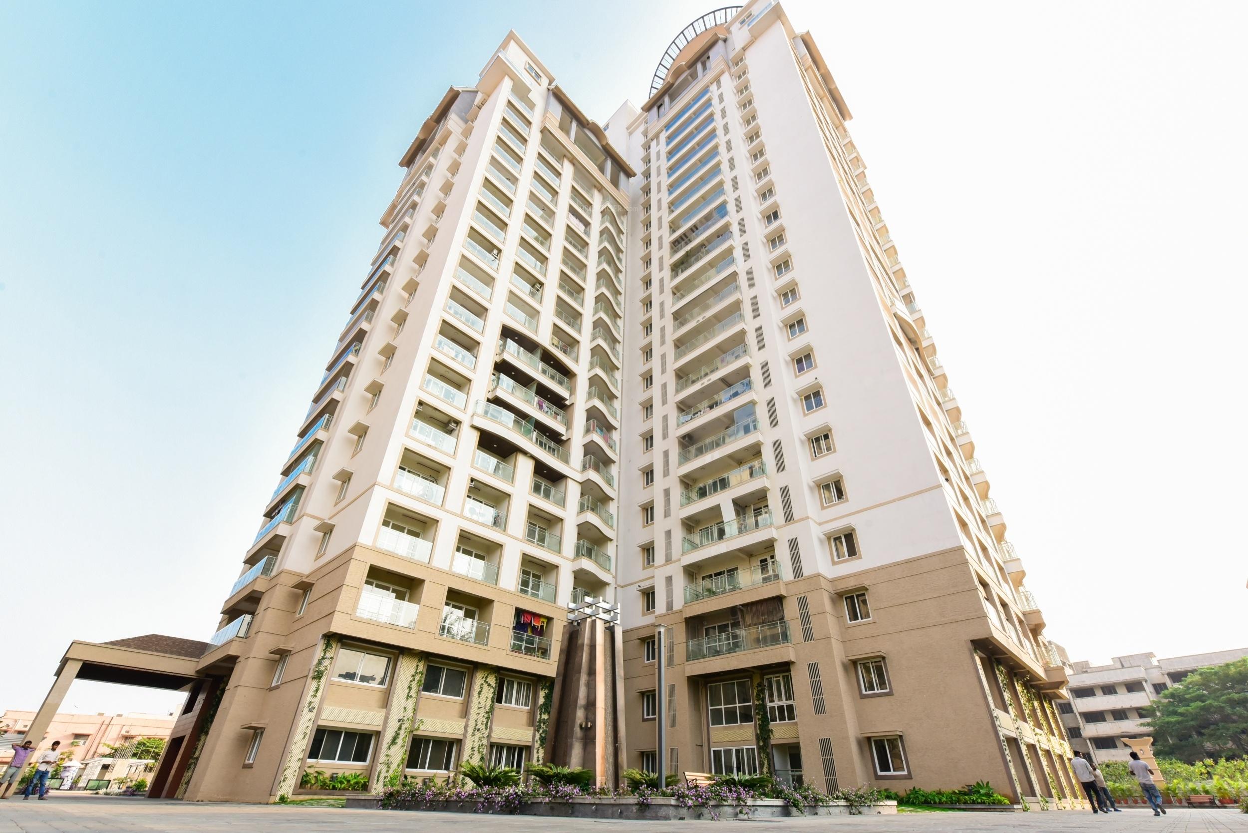  tropical-tree Elevation