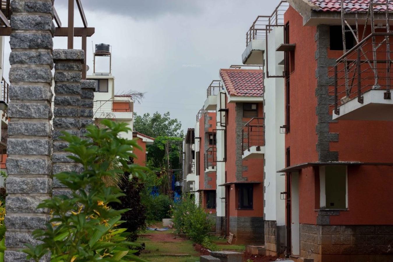 Images for Elevation of ZED Earth